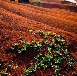 《世纪：灰烬纪元》主机手机端明年发售 12月登陆Steam